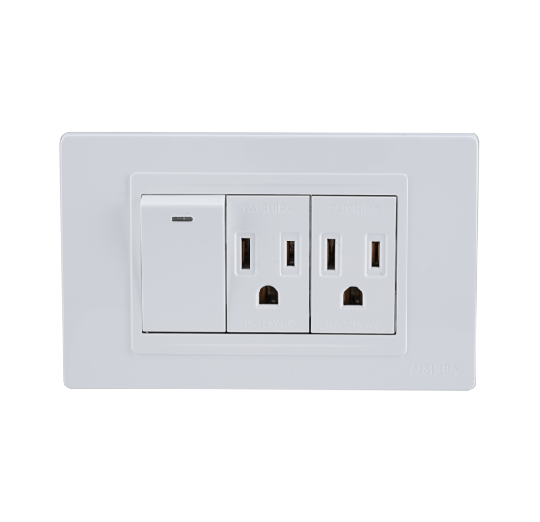 Dual Switches With Sockets