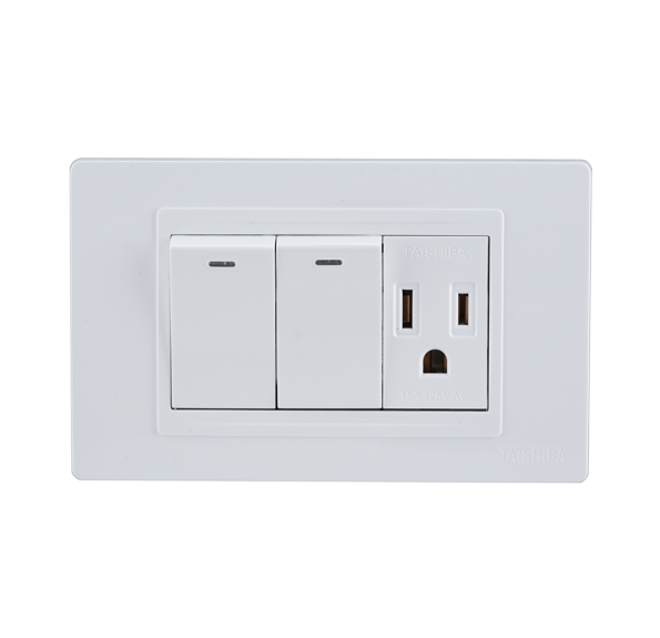 Dual Switches With Sockets