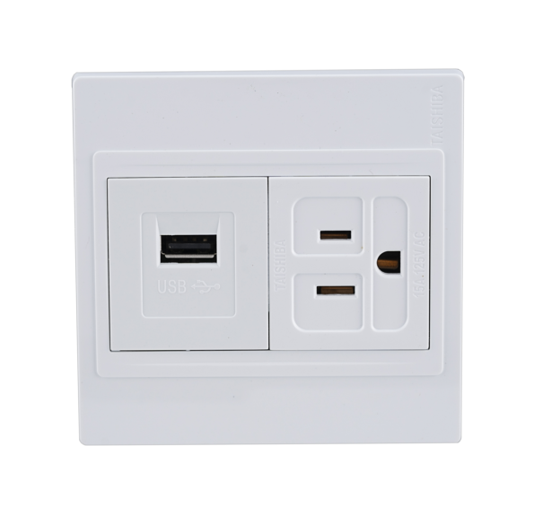 86 Type USB Socket With Ground Socket