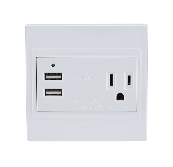 86 Type USB Sockets set With Ground Socket TGCU21-2